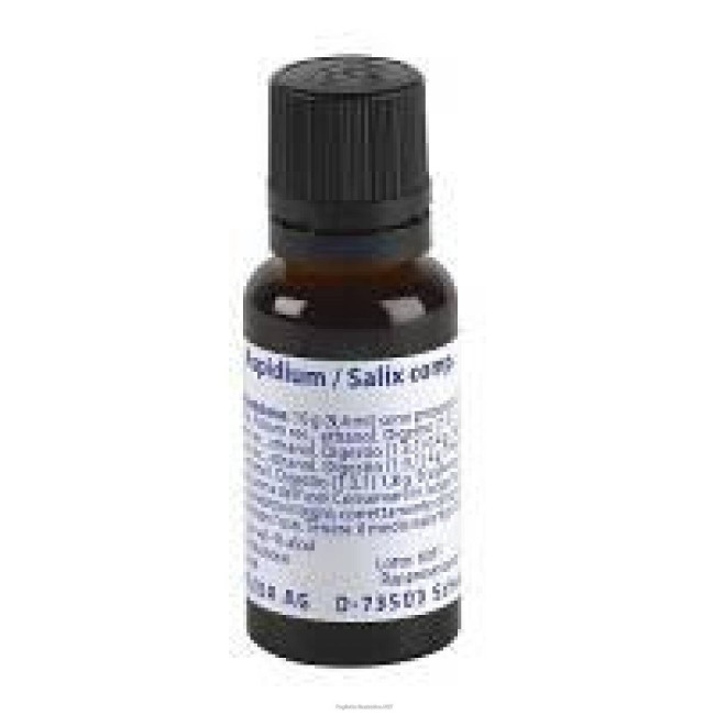 Aspidium Salix Comp 50 Ml Weleda
