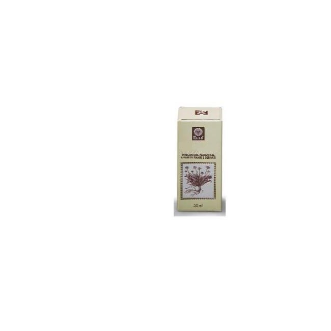 Ecol Cimicifuga Gocce 50 Ml Ecol Cimicifuga Gocce 50 Ml