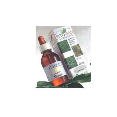 Sangalli Laboratorio Erboristico Artiglio Del Diavolo Radice Tintura Madre 100 Ml