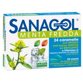 Named Sanagol Menta Fredda 24 Caramelle