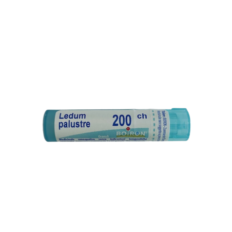 Boiron Ledum Palustre Boi 200ch Gr 4g