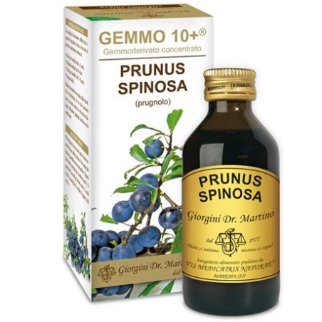 Dr. Giorgini Gemmo 10+ Prugnolo 100 Ml Liquido Analcolico Dr. Giorgini Gemmo 10+ Prugnolo 100 Ml Liquido Analcolico