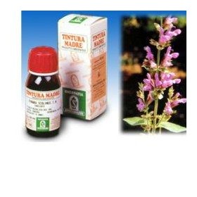 Specchiasol Salvia 25 50ml Tm