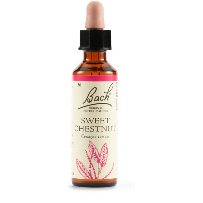 Schwabe Pharma Sweet Chest Bach Orig 20 Ml Schwabe Pharma Sweet Chest Bach Orig 20 Ml
