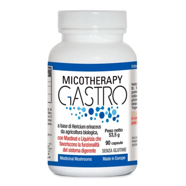 A.v.d. Reform Micotherapy Gastro 90 Capsule
