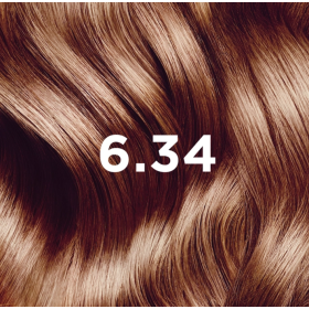 Phyto Color Kit 6,34 Biondo Scuro Ramato 1 Latte 50 Ml + 1 Crema 50 Ml + 1 Maschera 12 Ml