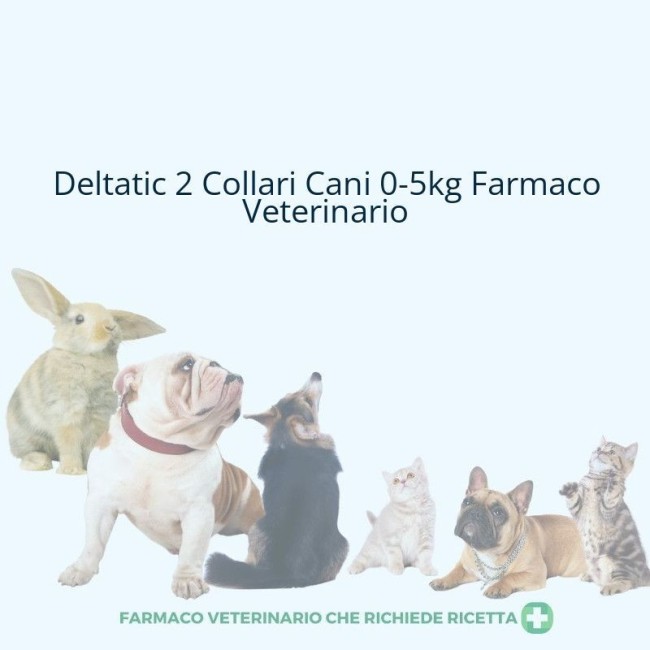 Vetpharma Animal Health S.l. Deltatic Collare Medicato Per Cani Molto Piccoli