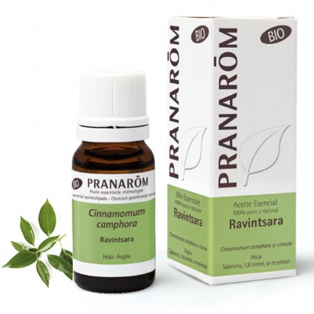 Herbalgem Pranarom Ravintsara Olio Essenziale Bio 10 Ml Herbalgem Pranarom Ravintsara Olio Essenziale Bio 10 Ml