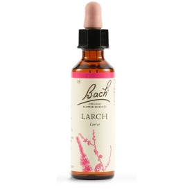 Schwabe Pharma Larch Bach Orig 20 Ml