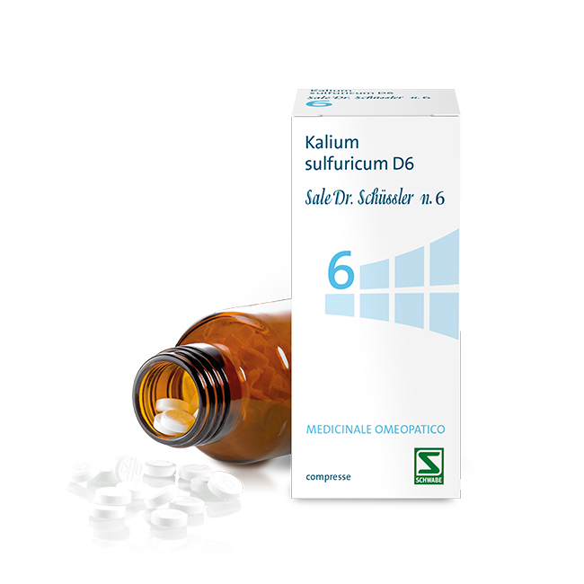 Schwabe Pharma Sale Dr Schussler N.6 Kasu 200