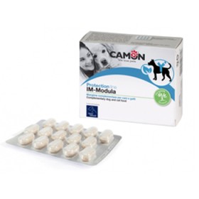 Camon Immodula 60 Compresse