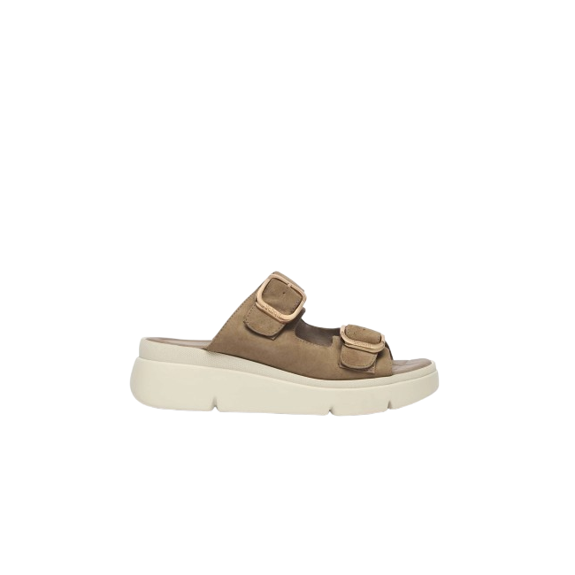 Scholl Calzatura Bali Buckle Suede W Taupe 37
