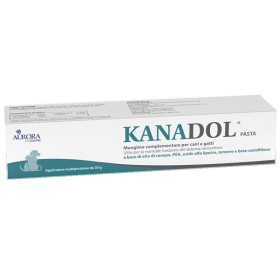 Aurora Biofarma Kanadol Pasta 30 G