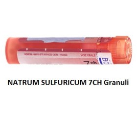 Boiron Natrum Sulf Boi 7ch Gr 4g