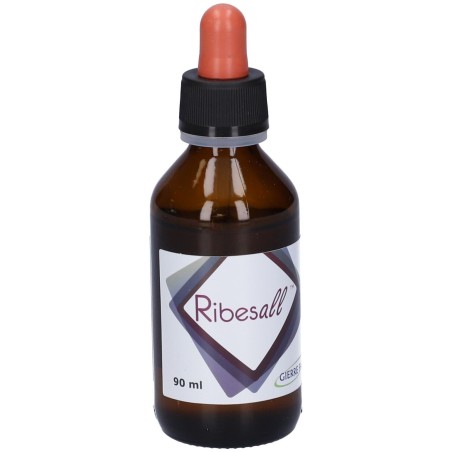 GIERRE FARMA Ribesall 90 Ml
