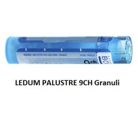Boiron Ledum Palustre Boi 9ch Gr 4g