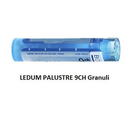 Boiron Ledum Palustre Boi 9ch Gr 4g