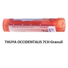 Boiron Thuya Occidentalis 7 Ch Granuli