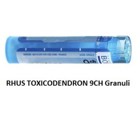 Boiron Rhus Tox Boi 9ch Gr 4g