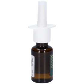 Deca Laboratorio Chimico Rinostil Spray 24 Ml
