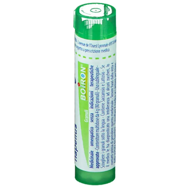 Boiron Aconitum Nap Boi 5ch Gr 4g