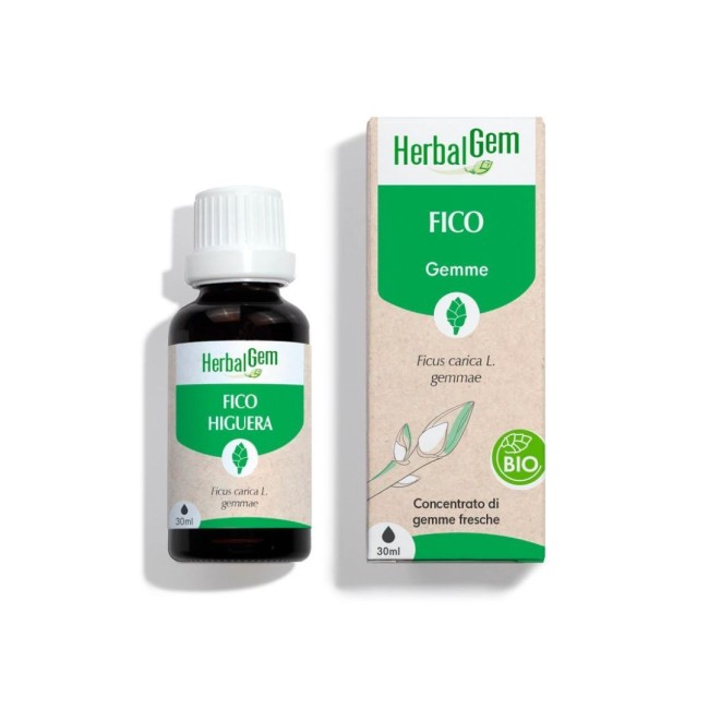 Herbalgem Fico Gemmoderivato Concentrato Bio 30 Ml