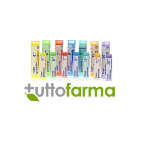 Boiron Rhus Tox Boi 5ch Gl 1g