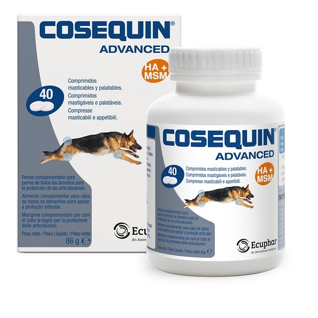 Nutramax Cosequin Gatti 15 Capsule
