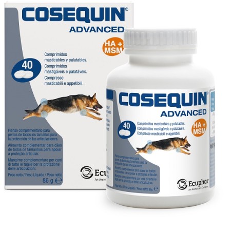Nutramax Cosequin Gatti 15 Capsule