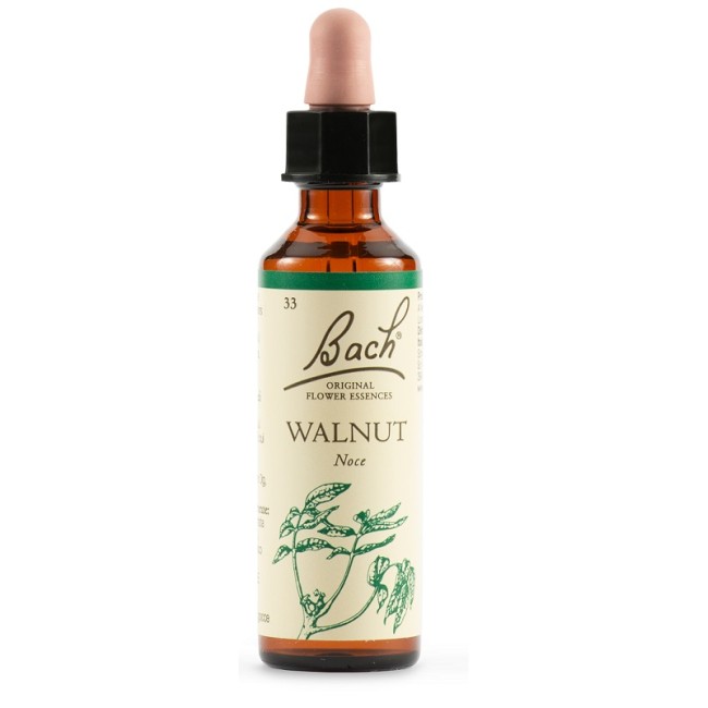 Schwabe Pharma Walnut Bach Orig 20 Ml