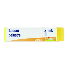 Boiron Ledum Palustre Boi 1mk Gl 1g