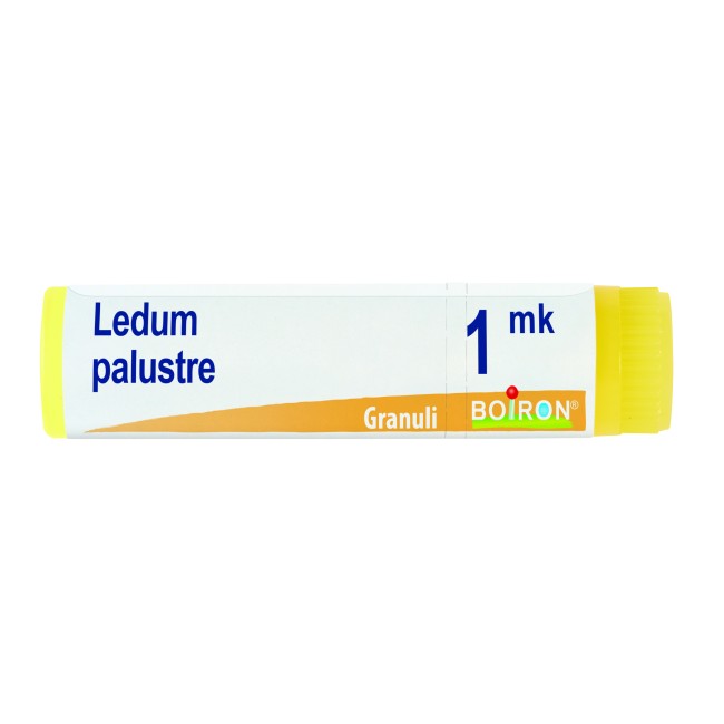 Boiron Ledum Palustre Boi 1mk Gl 1g
