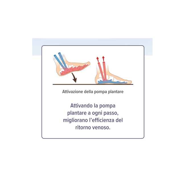 Gr Farma Epitact Plantare Terapeutico Gambe Leggere 36/38 1 Paio