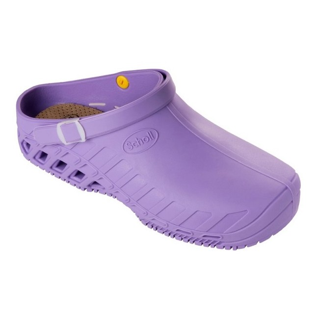 Scholl Clog Evo Tpr Unisex Lilac 41-42 Collezione Ss17 1 Paio Scholl Clog Evo Tpr Unisex Lilac 41-42 Collezione Ss17 1 Paio