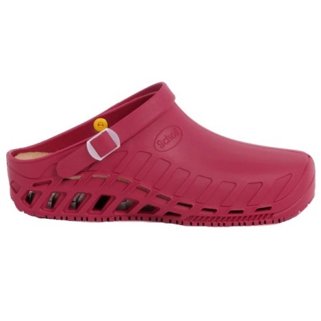Scholl Clog Evo Tpr Unisex Wine 38/39