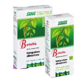 Salus Haus Betulla Succo 200ml Bio