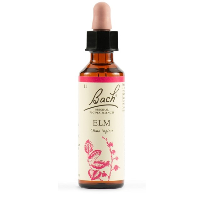 Schwabe Pharma Elm Bach Orig 20 Ml