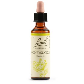 Schwabe Pharma Honeysuckle Bach Orig 20 Ml