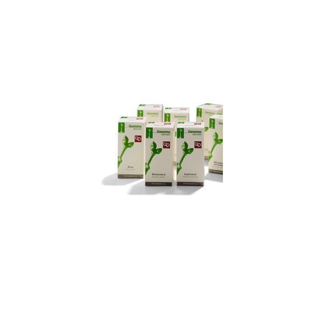 Fitomedical Lentisco Macerato Glicerico 50 Ml