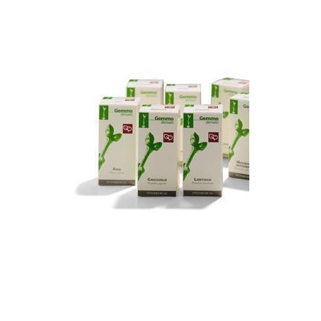 Fitomedical Lentisco Macerato Glicerico 50 Ml