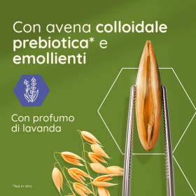 Crema corpo Aveeno Daily Moisturising alla lavanda con dispenser pump 300 ml
