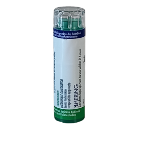 Hering Ledum Palustre 5ch 120gr 6g