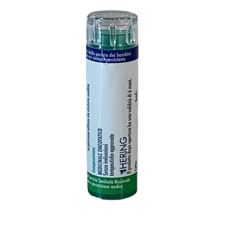 Hering Ledum Palustre 5ch 120gr 6g