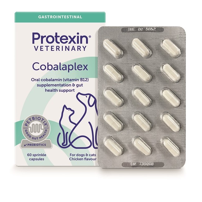 Adm Protexin Cobalaplex 60 Capsule Adm Protexin Cobalaplex 60 Capsule