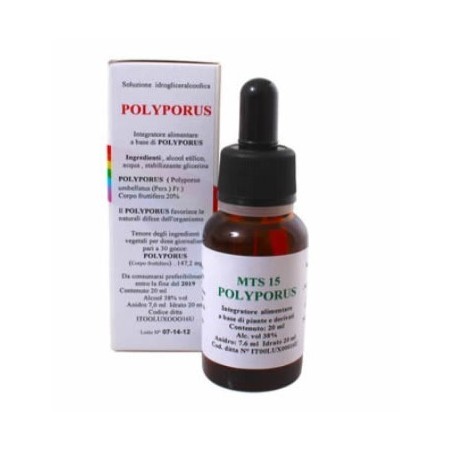 Alkaest Mts15 Polyporus Gocce 20 Ml Alkaest Mts15 Polyporus Gocce 20 Ml