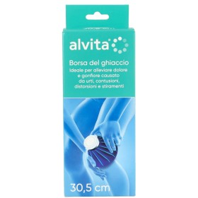 Alliance Healthcare Alvita Borsa Del Ghiaccio 30,5 Cm