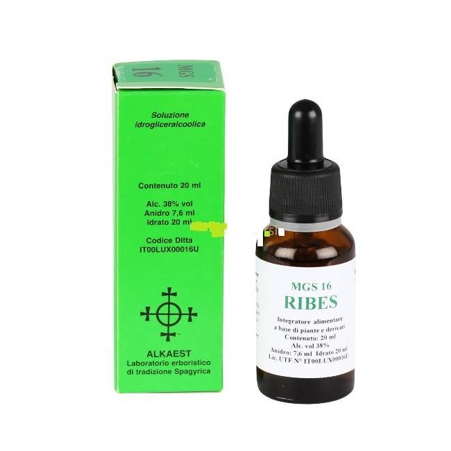 Alkaest Mgs16 Ribes Macerato Glicerico Spg 20 Ml Alkaest Mgs16 Ribes Macerato Glicerico Spg 20 Ml