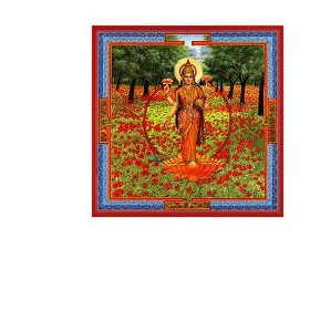 Aurum Neesha-ma Gocce 30 Ml