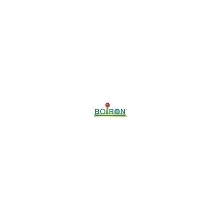 Boiron Antimonium Ta Boi 1mk Gl 1g Boiron Antimonium Ta Boi 1mk Gl 1g