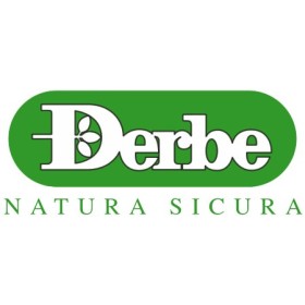 Derbe